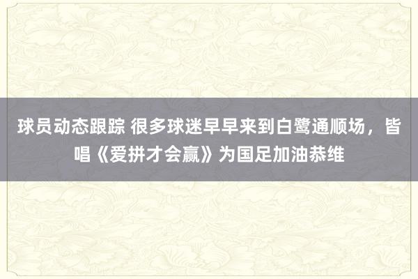 球员动态跟踪 很多球迷早早来到白鹭通顺场，皆唱《爱拼才会赢》为国足加油恭维