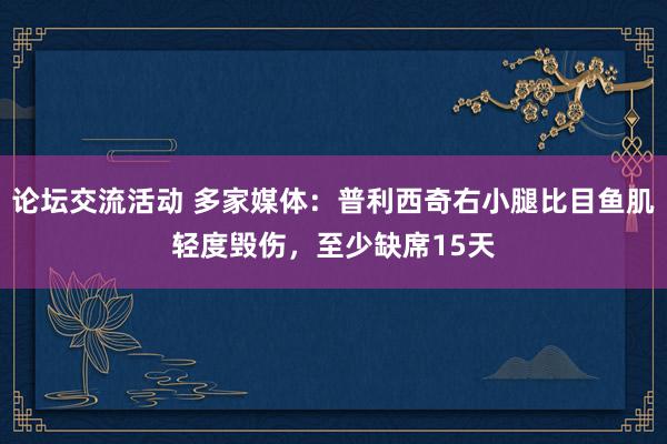 论坛交流活动 多家媒体：普利西奇右小腿比目鱼肌轻度毁伤，至少缺席15天