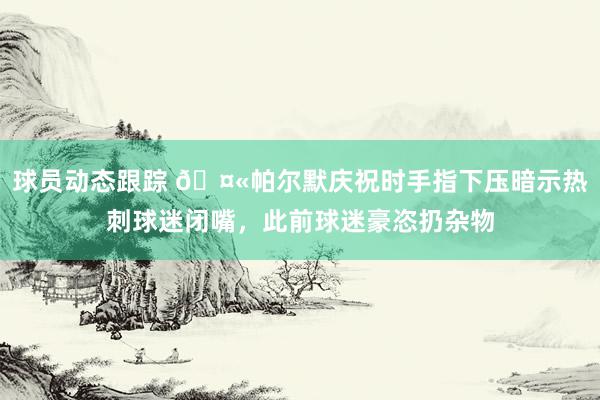 球员动态跟踪 🤫帕尔默庆祝时手指下压暗示热刺球迷闭嘴，此前球迷豪恣扔杂物