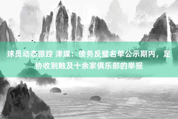 球员动态跟踪 津媒：债务反璧名单公示期内，足协收到触及十余家俱乐部的举报