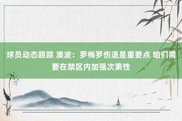 球员动态跟踪 澳波：罗梅罗伤退是重要点 咱们需要在禁区内加强次第性