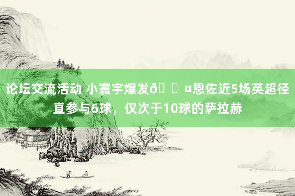 论坛交流活动 小寰宇爆发😤恩佐近5场英超径直参与6球，仅次于10球的萨拉赫